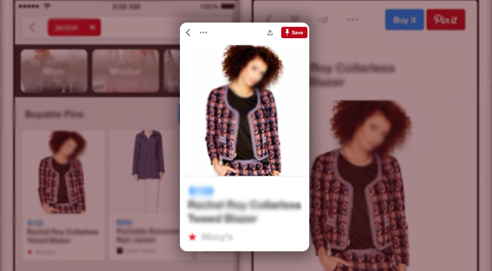 Pinterest Sponsored Promotion