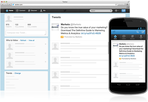 Twitter Sponsored Promotion