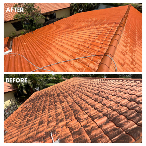 Roof Washing Service by EM Pressure Washing