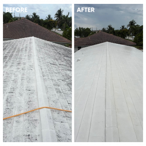 Roof Washing Service by EM Pressure Washing