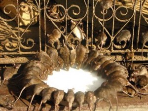 d2d9a09a2053531815cb004ab85462d7