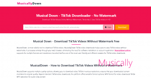 musicaldown online