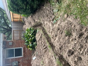 trenching new sewer line